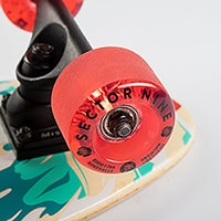 Sector 9 BAMBINO SHOREBREAK
