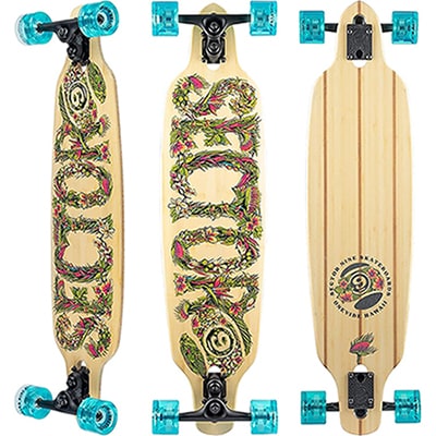 Sector 9 FRACTAL FLORA